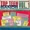 VARIOUS ARTISTS - Top Teen Bands Vol. 1
