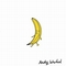 VARIOUS ARTISTS - The Velvet Underground And Nico By Castle Face Records And Friends