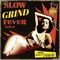 VARIOUS ARTISTS - Slow Grind Fever Vol. 6
