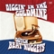 VARIOUS ARTISTS - Diggin' In The Goldmine