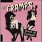 CRAMPS - Smell Of Female - Singles Box
