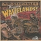 VARIOUS ARTISTS - Twisted Tales From The Vinyl Wastelands Vol. 5