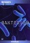 Bakterien - Discovery Durchblick