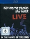 Iggy & The Stooges - Raw Power Live: In the...