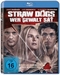 Straw Dogs - Wer Gewalt sät