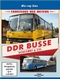 DDR Busse - Schlenki & Co.