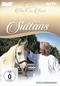 Die Pferde des Sultans - Hoch zu Ross