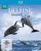 Delfine hautnah