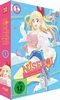 Nisekoi Vol. 1 - Liebe, Lgen & Yakuza [2 DVDs]