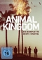 Animal Kingdom - Die komplette 1. Staffel