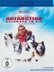 Antarctica - Gefangen im Eis