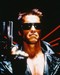 Arnold Schwarzenegger
