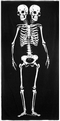 STRANDTUCH - SKELETON