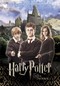 Harry Potter and the Order of the Phoenix - Poster