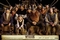 Wickie und die starken M�nner - Poster