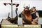Wickie und die starken M�nner - Poster