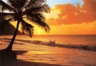 FOTOTAPETE - SONNENUNTERGANG AM STRAND - PACIFIC SUNSET