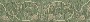 TAPETE - HERMITAGE VI - FLORALE BORD�RE GR�N