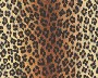 LEOPARD - DUNKEL
