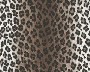 LEOPARD - HELL