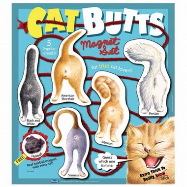 Cat Butts Magnet Sets