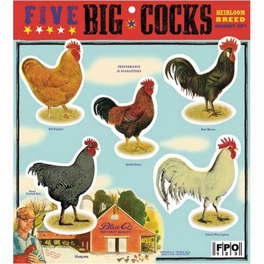 Five Big Cocks Magnet Set
