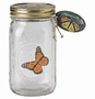 SCHMETTERLINGSGLAS MONARCHFALTER
