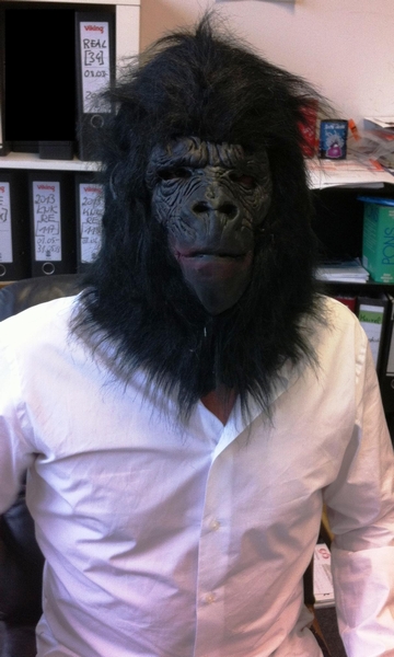 Gorilla im B�ro