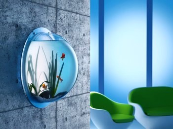 Synthetikpark Wandaquarium XXL