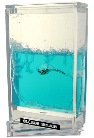 Antquarium