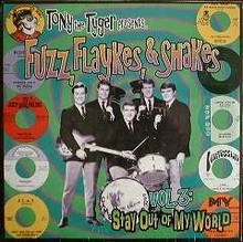 VARIOUS ARTISTS - FUZZ, FLAYKES & SHAKES Vol. 3
