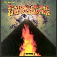 VARIOUS ARTISTS - Psychedelic Unknowns Vol. 9