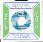 DIRTBOMBS - Rolling Stones Tribute split 14