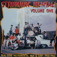 VARIOUS ARTISTS - Strummin Mental Vol. 1