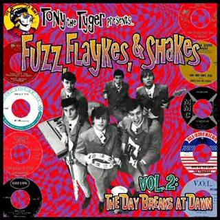 VARIOUS ARTISTS - FUZZ, FLAYKES & SHAKES Vol. 2