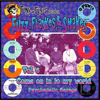 VARIOUS ARTISTS - FUZZ, FLAYKES & SHAKES Vol. 6