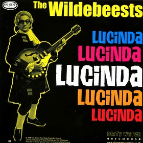 THE WILDEBEESTS - One Minute's Time