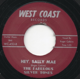 FABULOUS SILVER TONES - Hey, Sally Mae