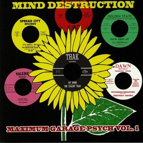 VARIOUS ARTISTS - Mind Destruction - Maximum Garage Psych Vol. 1