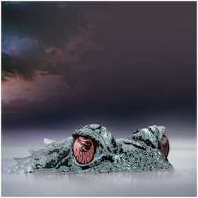 KROKODIL - Beyond The Eye