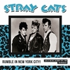 STRAY CATS