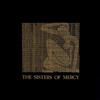 SISTERS OF MERCY