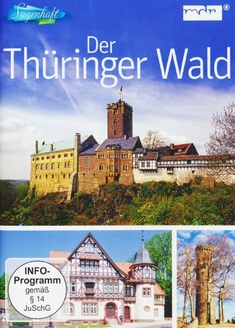 WINTERZAUBER IM THRINGER WALD