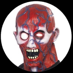 Anatomie Muskel Maske - Klicken f�r gr�ssere Ansicht