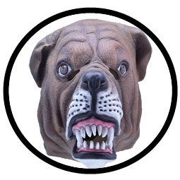 Bulldogge Maske Erwachsene - Klicken f�r gr�ssere Ansicht