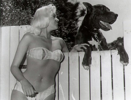 Jayne Mansfield - Dog