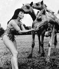 Bettie Page - am Kamel F�ttern