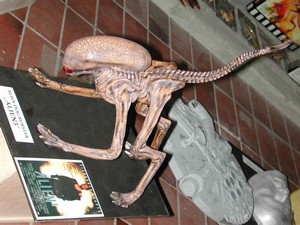 1:1 Dogburster Modell aus <i>Alien 3</i>