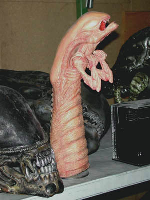 Chestburster
