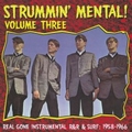 1 x VARIOUS ARTISTS - STRUMMIN MENTAL VOL. 3